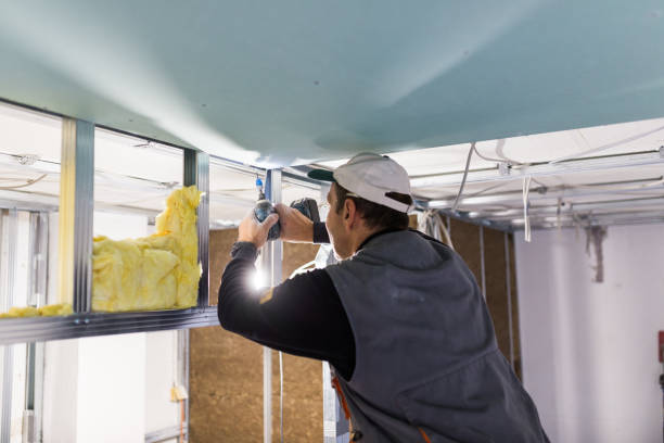 Best Residential Insulation in Goodrich, MI