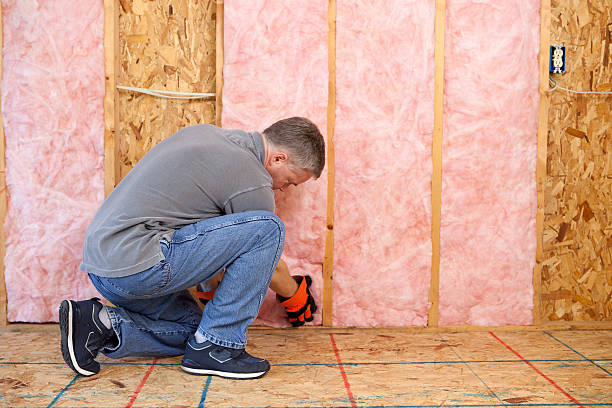 Best Fiberglass Insulation in Goodrich, MI