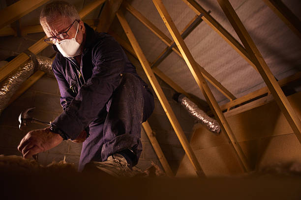 Types of Insulation We Offer in Goodrich, MI