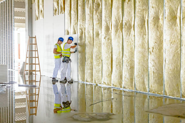 Best Geographic-Specific Insulation Services in Goodrich, MI
